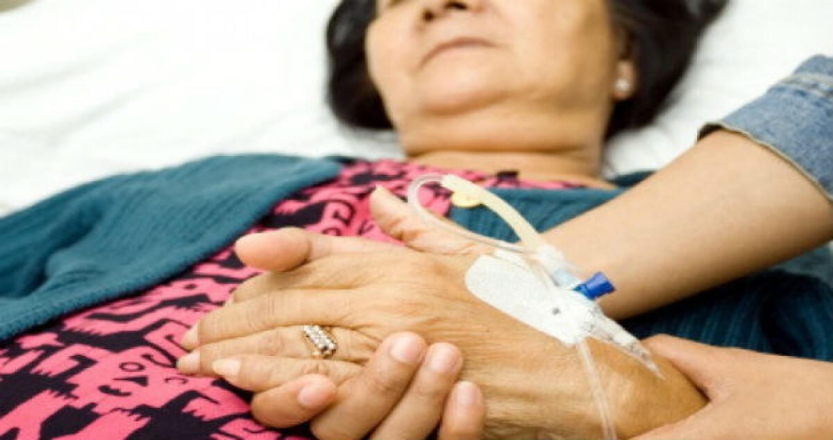 Muore una casalinga, si sospetta il morbo della mucca pazza: via alle verifiche - 