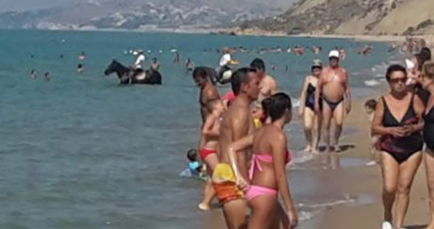 mare-cavalli.jpg