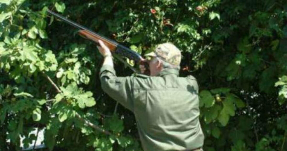 Una sfortunata battuta di caccia finisce in ospedale, ferito un uomo di sessant'anni - 