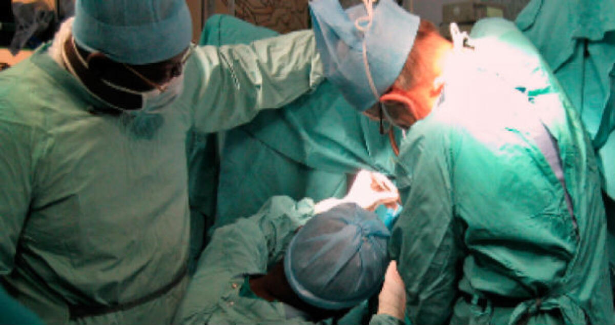 Centauro ferito sulla 117, migliorano le condizioni: monitorato dai medici - 