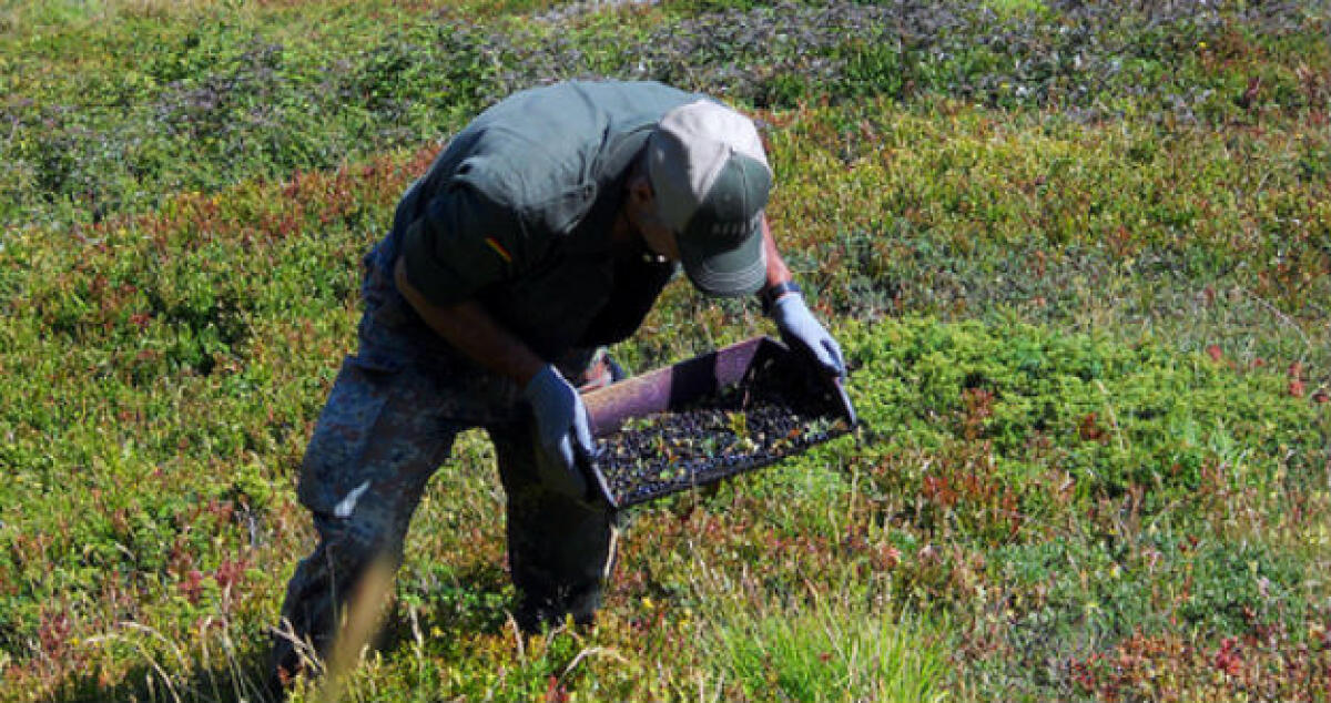 Emissioni e danni all'agricoltura, pressioni su un consulente? Partita un'indagine - 