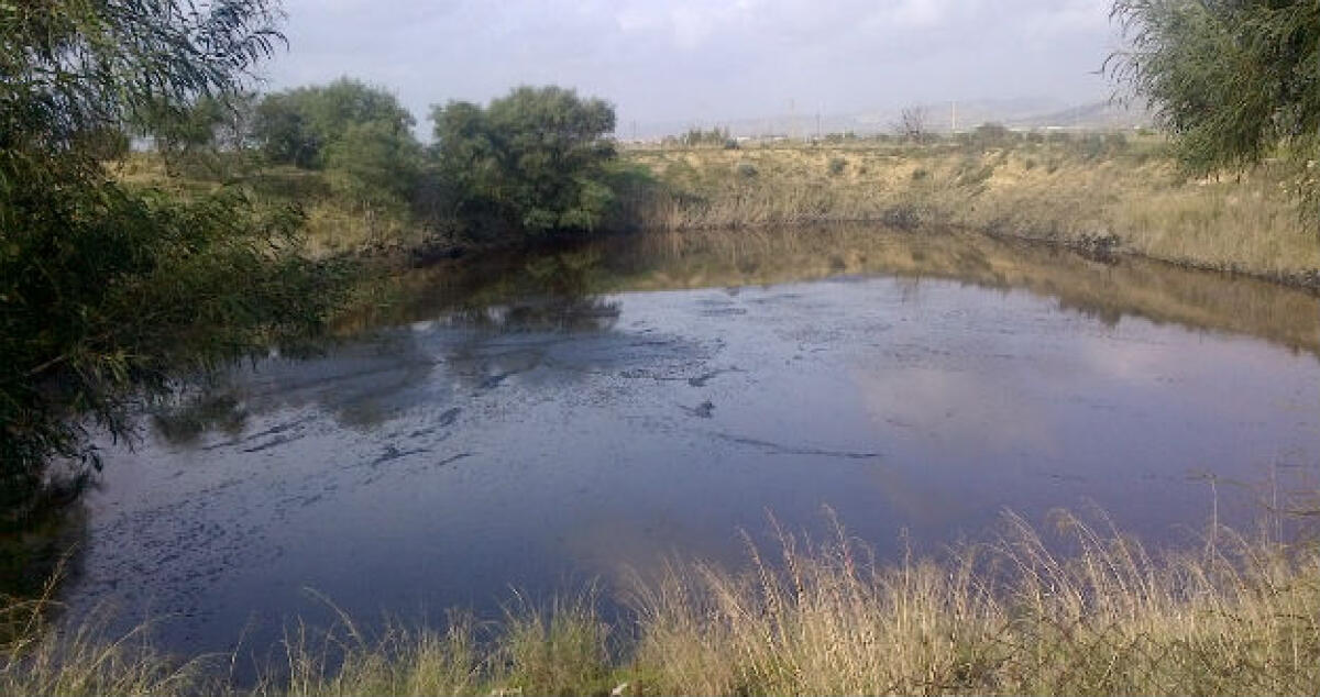 Pozzi neri e rifiuti d'ogni genere, una bomba ecologica senza bonifica FOTO - 