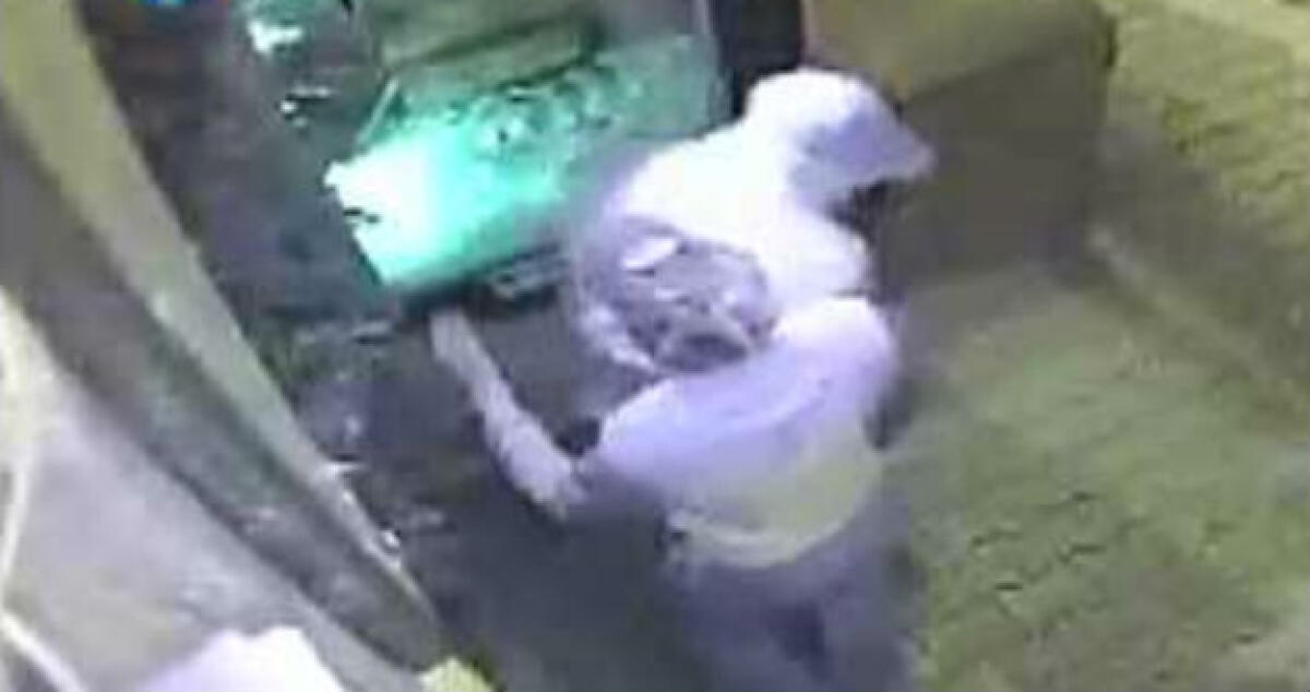 I ragazzi dei furti d'oro, "dormivano in auto e pedinavano le donne in pelliccia" - 