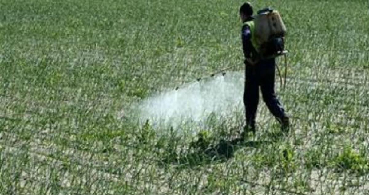 I fitofarmaci per l'agricoltura sott'osservazione, i Nas nei centri vendita - 