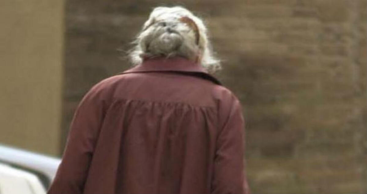 Con due figli disabili non riesce ad andare avanti: il giudice dà ragione ad un'anziana - 