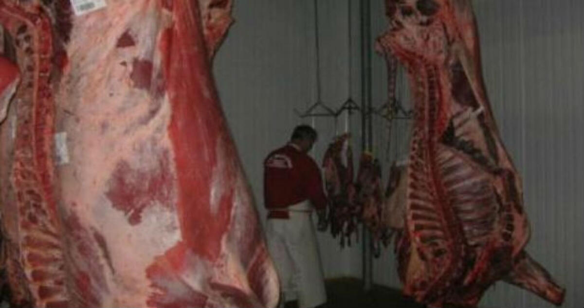 Carne nera e mal conservata in un market di via Venezia, "utilizzavano anche solfiti" - 