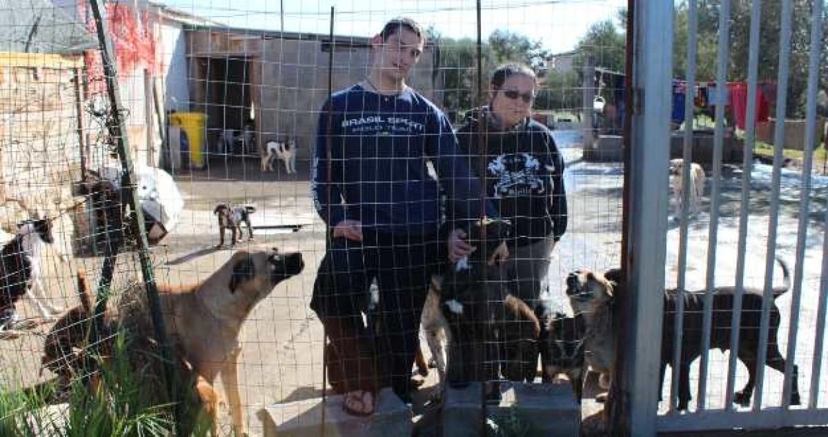 Vive con 64 cani meticci e senza energia elettrica: "Aiutatemi a mantenerli" - 