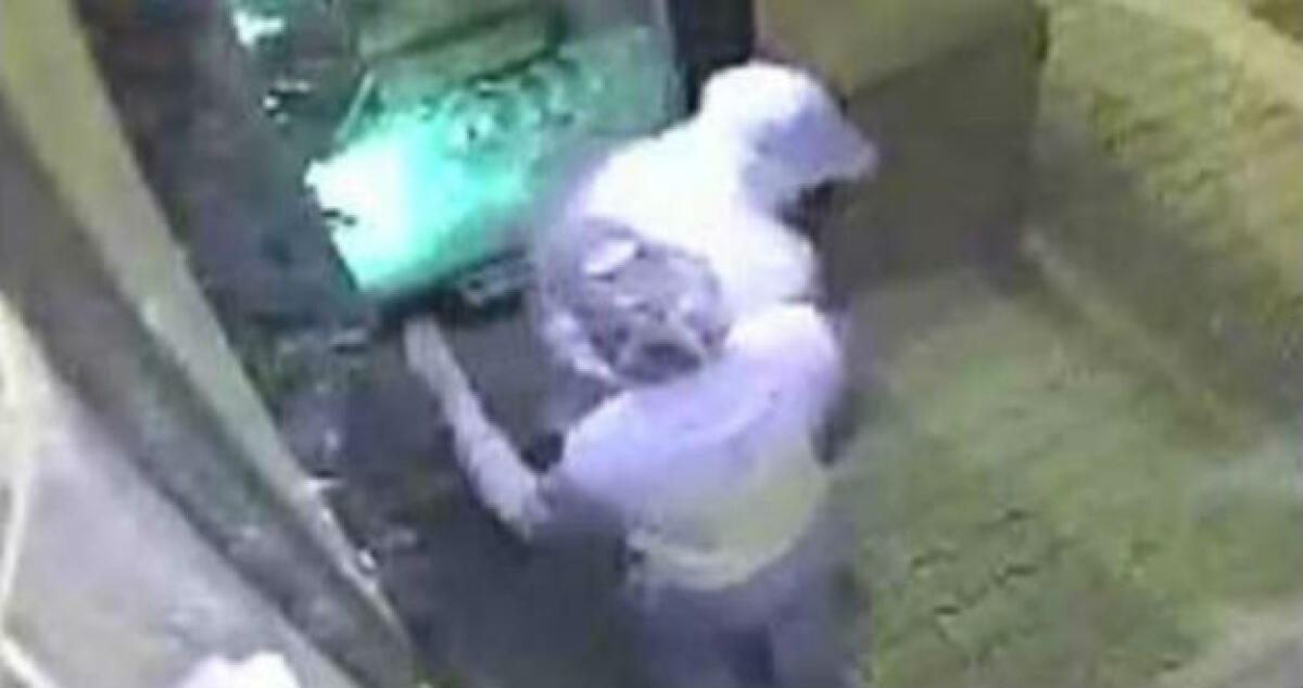 Furti e rapine per l'oro, sei minori sono a giudizio: uno messo alla prova - 