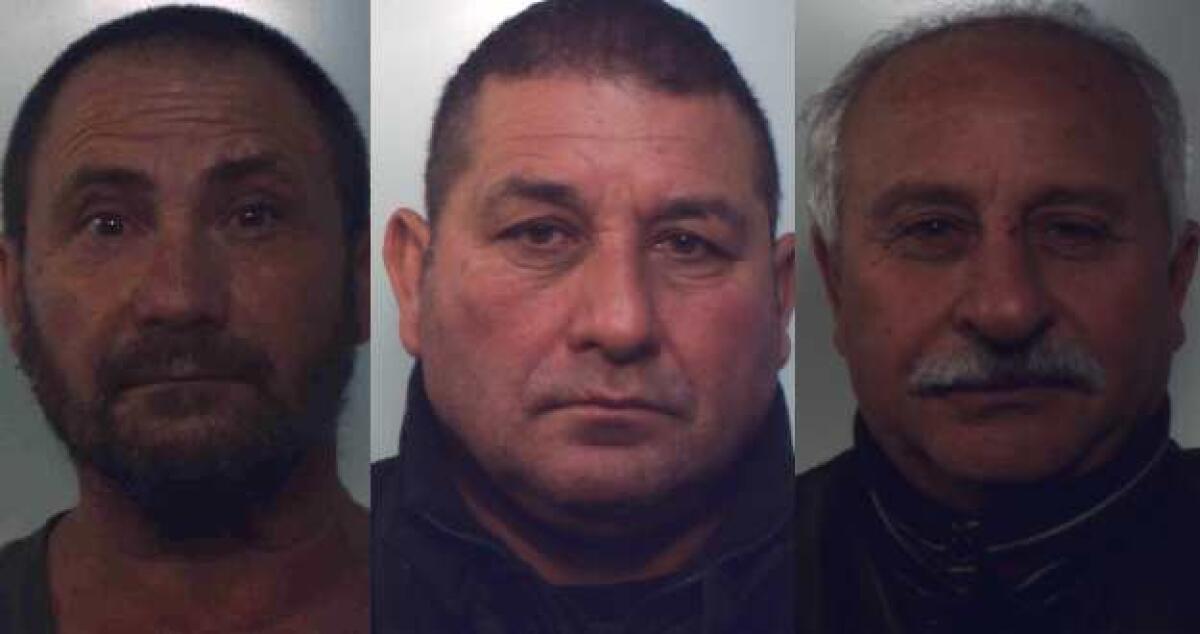 Macellazione abusiva, furto e violazione delle misure di ps, 3 arresti dei carabinieri -