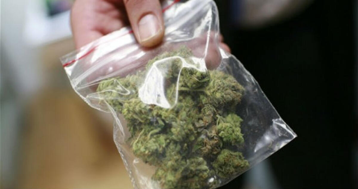 Marijuana nel suo appartamento, assolto: la pianta fu sequestrata dalla polizia -