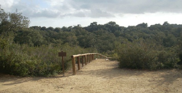 comunelli-bosco.jpg