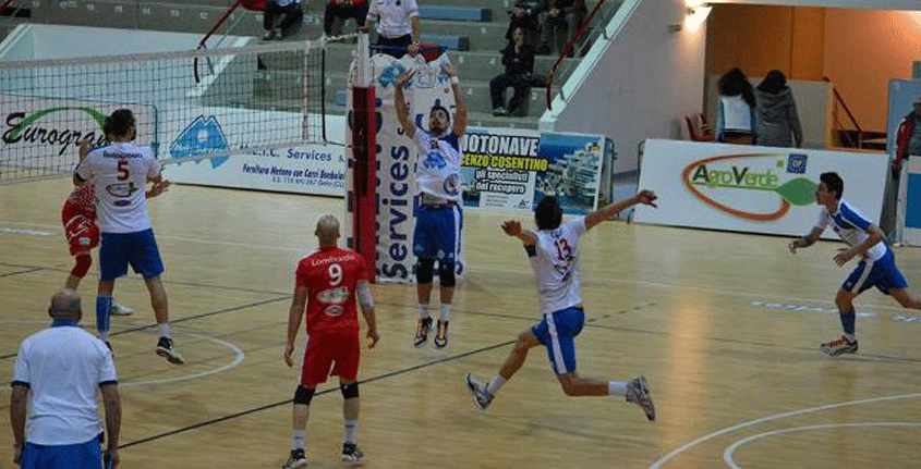meic-in-azione.gif