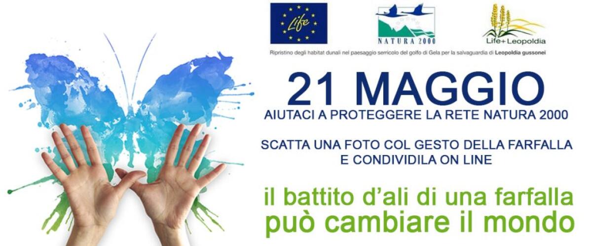 Il battito d’ali di una farfalla può cambiare il mondo -