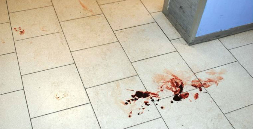 sangue-terra.jpg