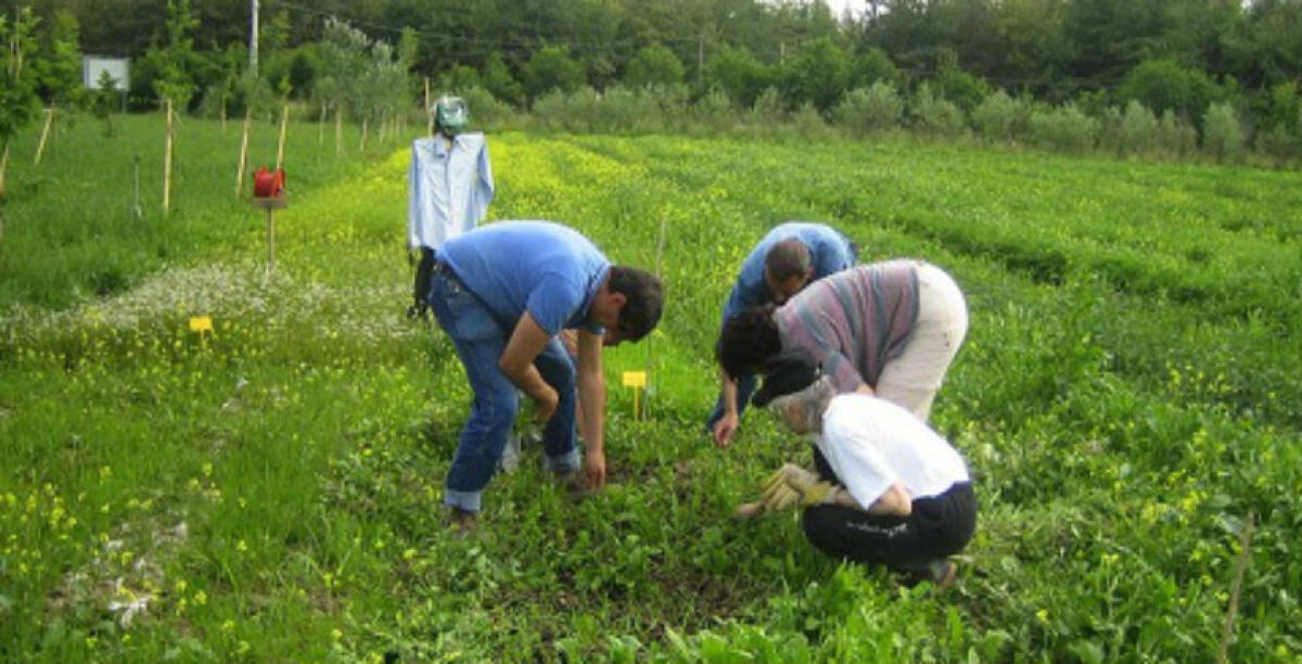 Un agricoltore avvelenato mentre lavora a Bulala: ricoverato in ospedale -