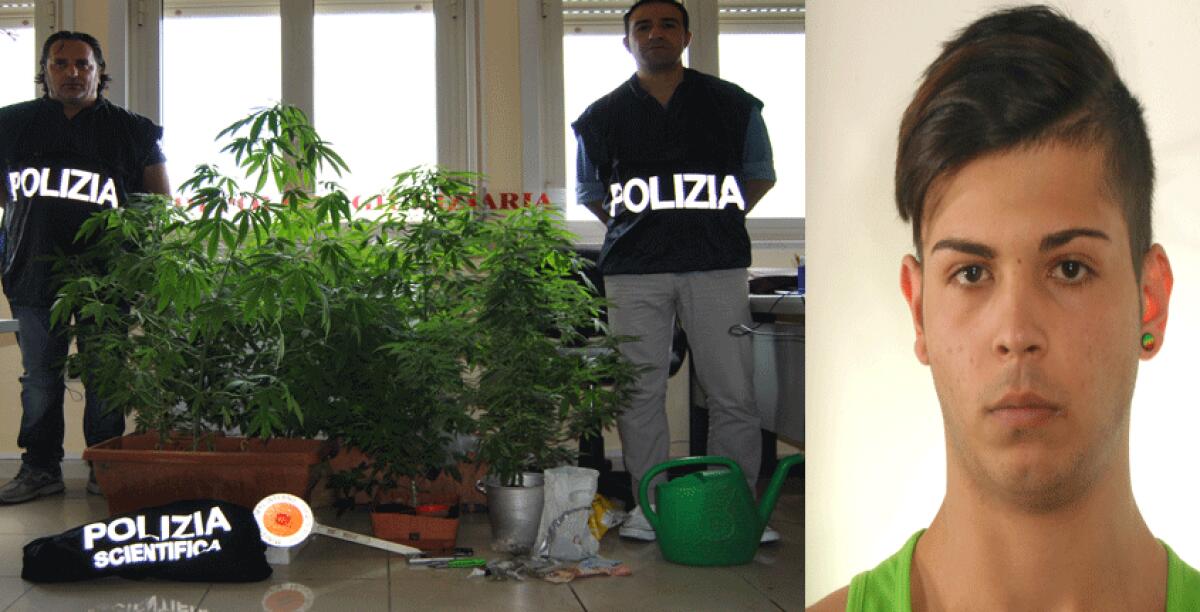 Coltivava marijuana a casa, diciottenne arrestato e posto ai domiciliari - 