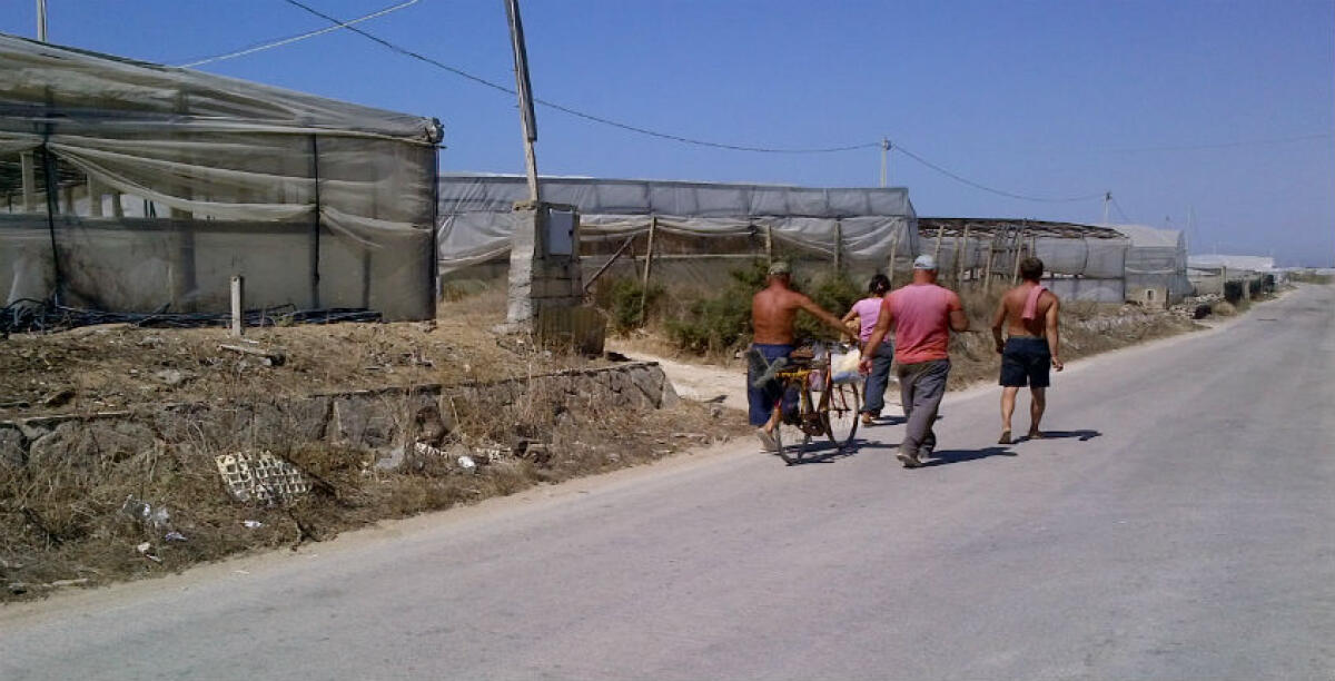 Crisi e banche li soffocano, tanti imprenditori agricoli allo stremo: in vendita una proprietà da oltre 100 ettari - 