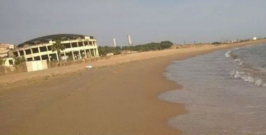 conchiglia-spiaggia.jpg