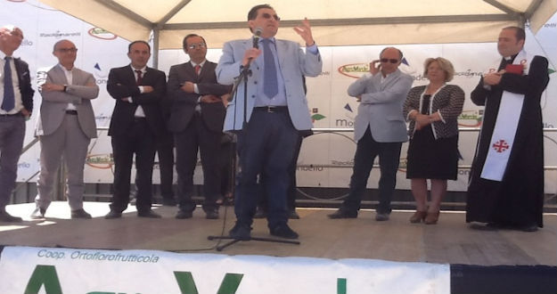 agroverde.jpg