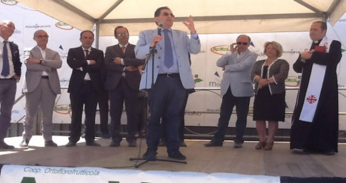 Il polo Agroverde fermo al palo, i creditori della Mondello decidono sul concordato: pronti i pagamenti - 