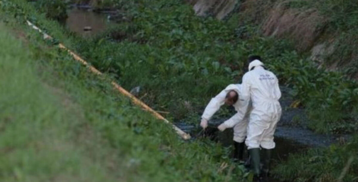 "Giannino" Belladonna ammazzato a sedici anni, cade la versione dei collaboratori: assolto Rosario Collodoro - 