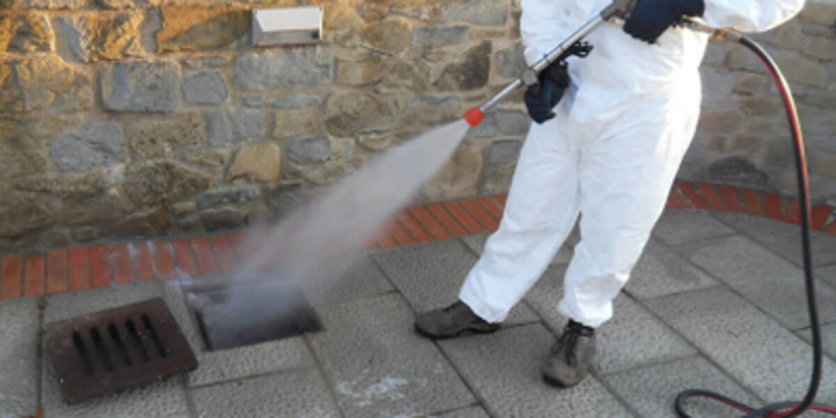 Allarme blatte all'ospedale Vittorio Emanuele, gli utenti postano foto sui social - 