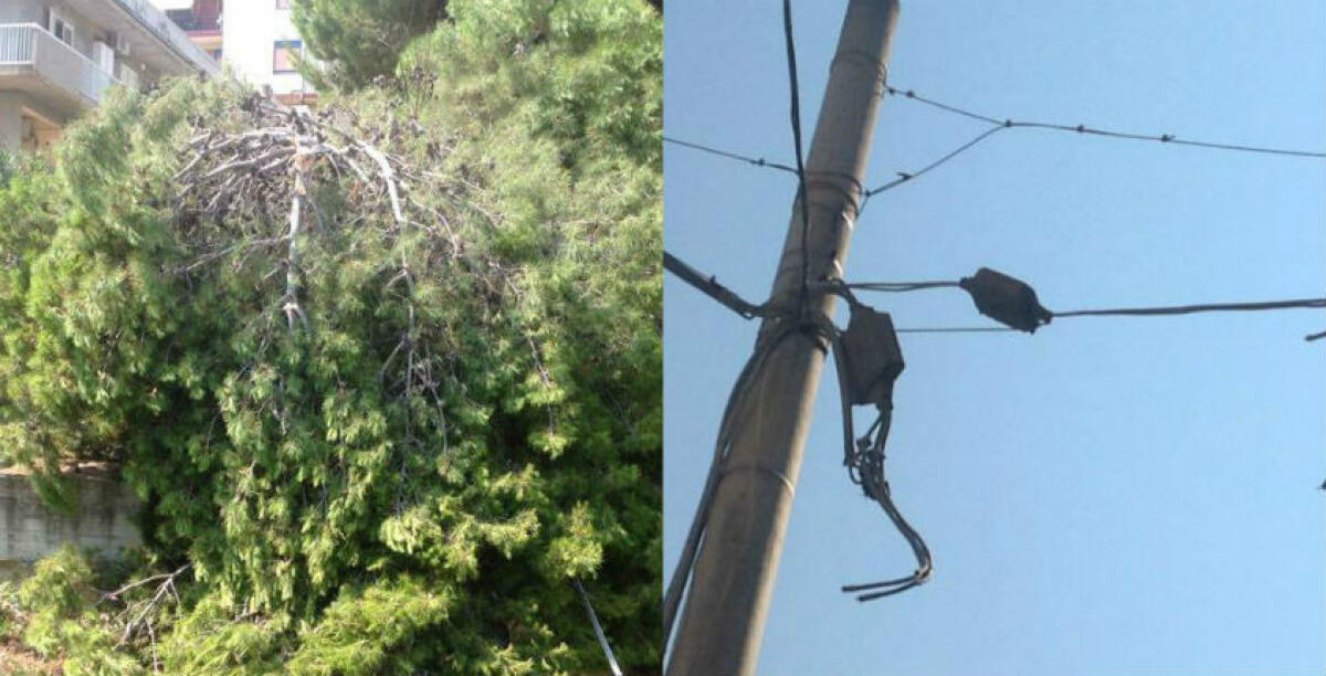 Un albero rovina sui cavi dell'alta tensione a Fondo Iozza, allarme tra i residenti di via Valeria - 