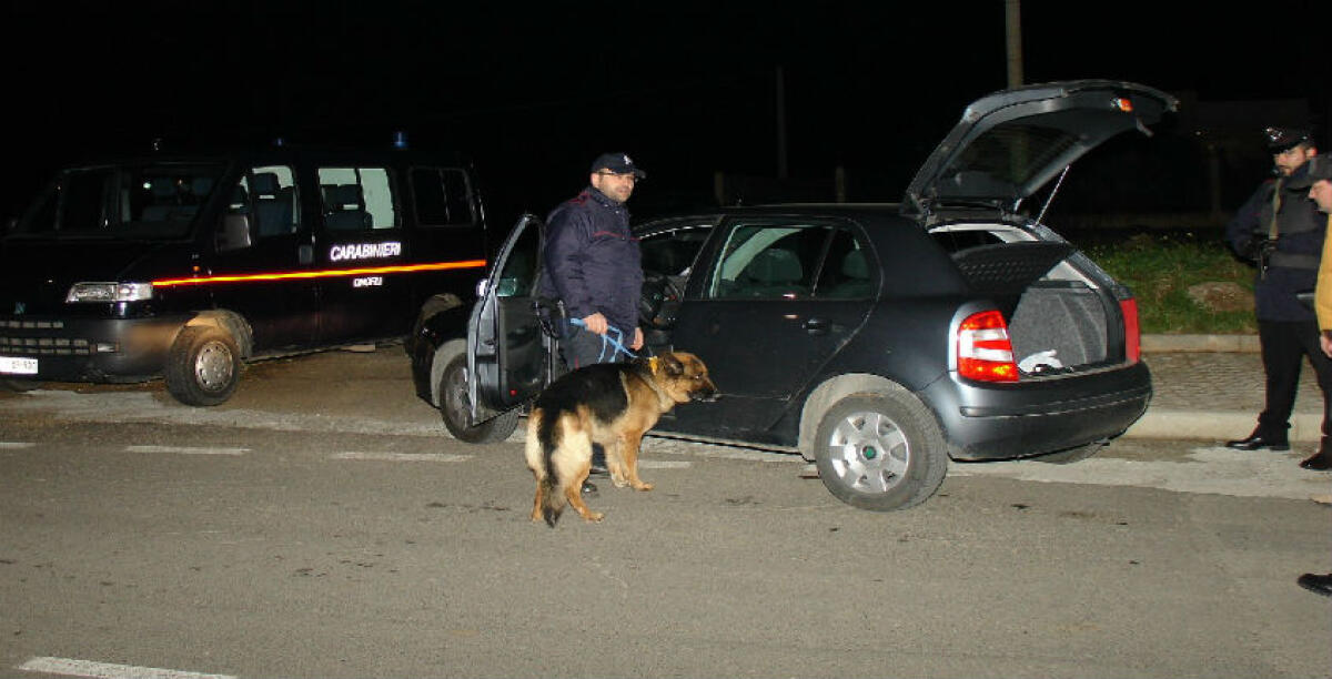 La cocaina arrivava da Catania, chieste condanne fino a sette anni: ci sono padre e figlio - 