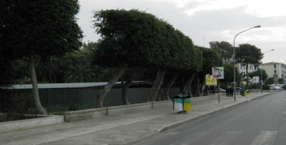 Erano del Comune, ora passano di mano: un altro immobile venduto a Macchitella - 