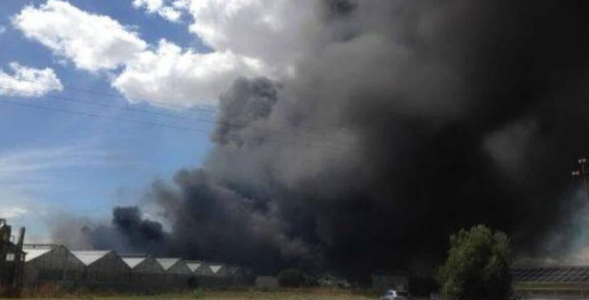 "Gli incendi devastano la fascia dunale", a rischio un progetto da oltre un milione di euro: allarme al Biviere - 