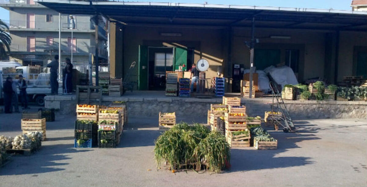 Mercato ortofrutticolo al palo, "dobbiamo competere con Vittoria": sorgerà in una nuova area? -
