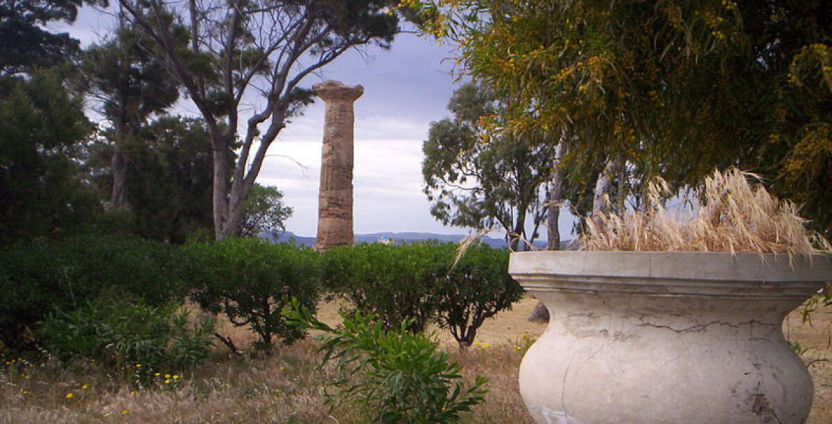 Il branco minaccia l'acropoli e le aree archeologiche, il direttore decide di chiuderle - 