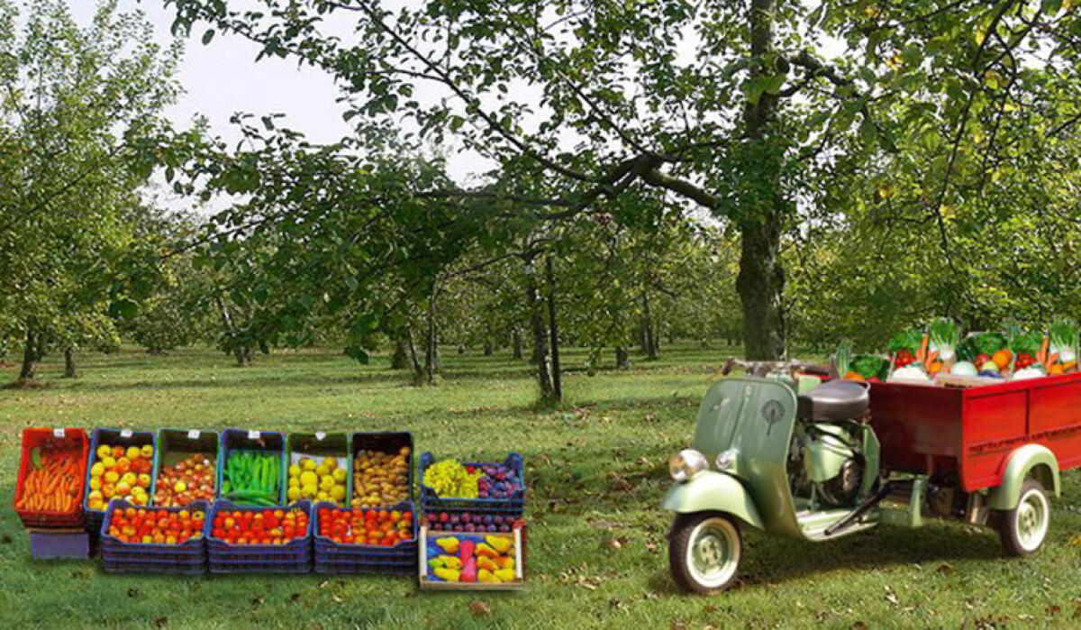 Il rilancio dell'agroalimentare ex Zappalà, parla Gangarossa: sin qui siamo stati soli -