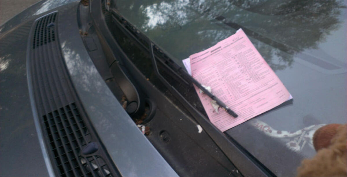 Messinese: "Sulla Pingo solo falsità. Ho chiesto ai vigili di fare rispettare le regole e i consiglieri diano l'esempio" - 