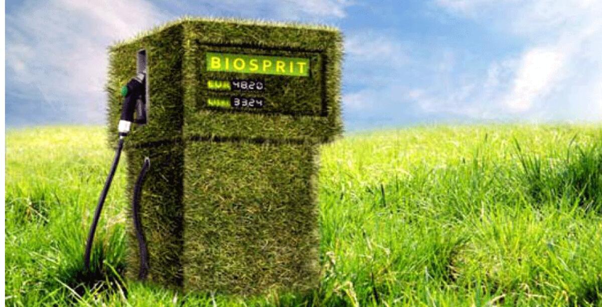 Dagli scarti organici dei rifiuti alla produzione di biometano, il progetto parte da Gela - 