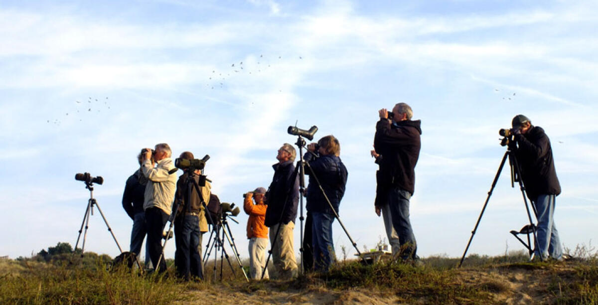 L'Eurobirdwatch al lago Biviere, domani l'osservazione degli uccelli migratori - 