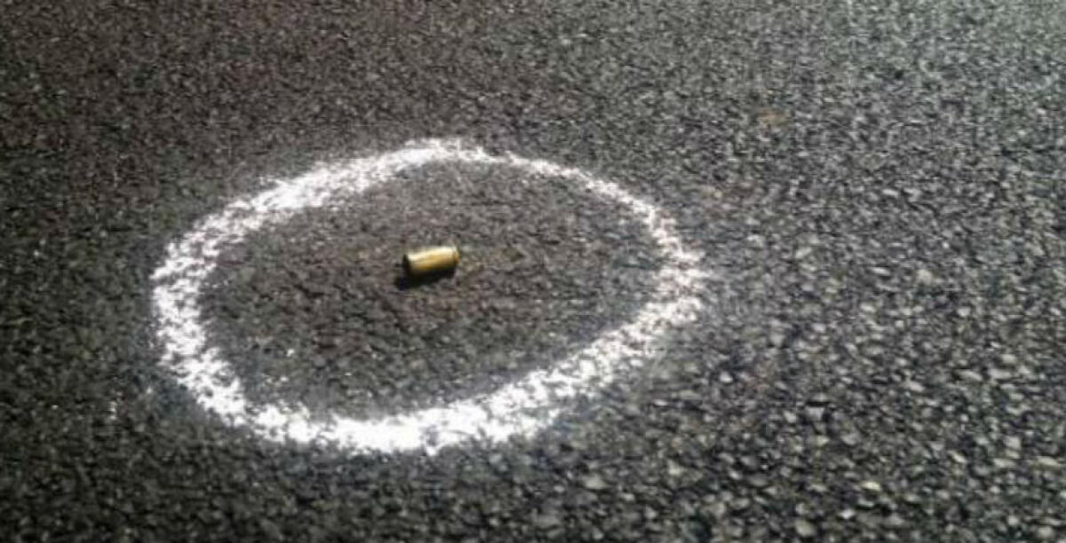 Un pitbull ammazzato con un colpo in testa tra le palazzine dello Iacp a Scavone, accuse ad un uomo - 