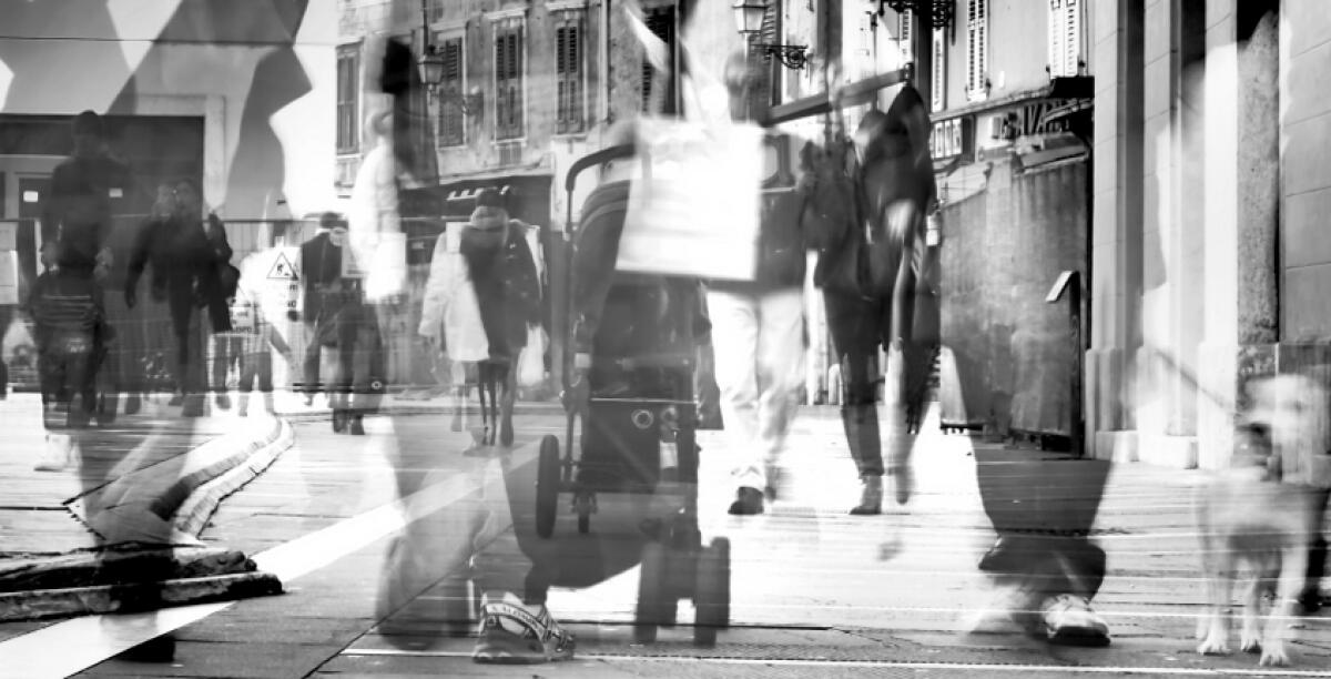 Randagismo Emotivo - 