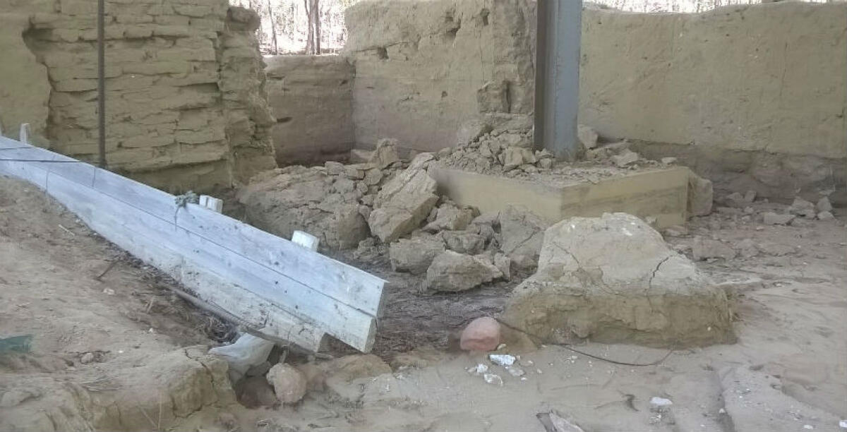 Pochi fondi e manutenzione ai minimi termini, l'emporio arcaico di bosco Littorio non esiste più - 