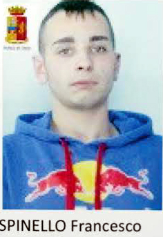 spinello.jpg
