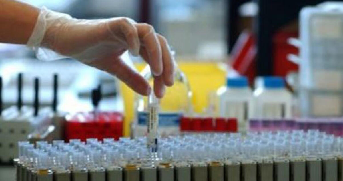 Finanziato dall'Europa ma mai utilizzato, rispunta il laboratorio di ricerca a Brucazzi: c'è una mozione - 