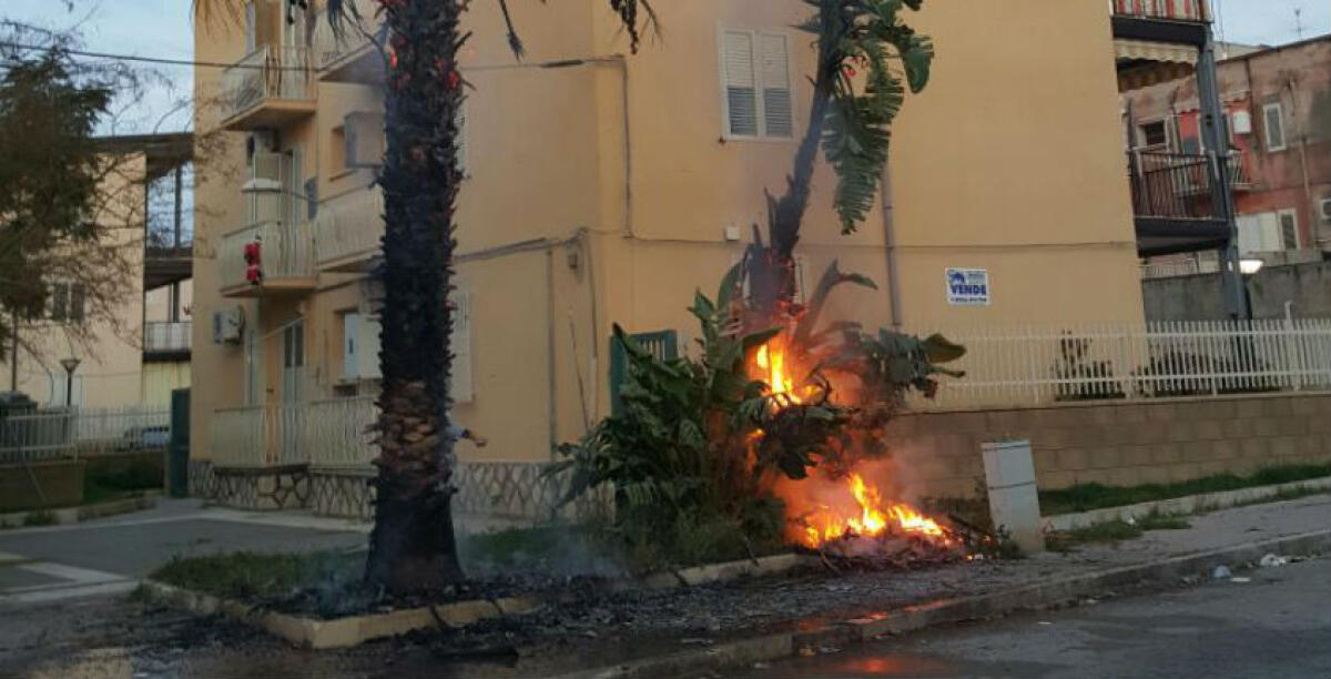 Fiamme a Villaggio Aldisio, l'incendio scoppiato in un'area verde a pochi passi dalle abitazioni - 