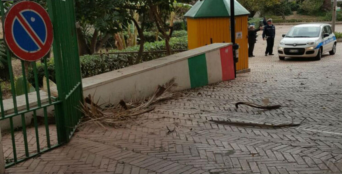 Pesanti rami volano giù alla villa comunale, la zona messa in sicurezza: il forte vento sferza la città -