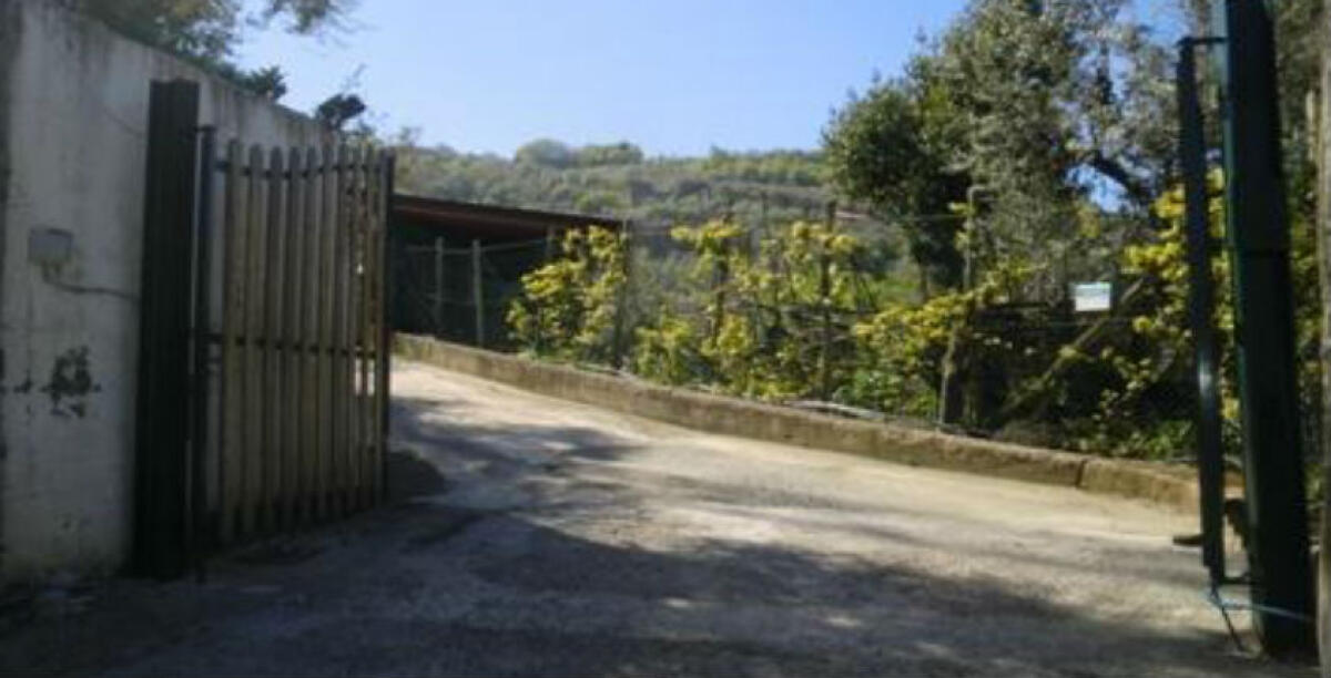 L'ex Provincia continua a fare cassa: Cascino, "mancano tutti i servizi ma si pagano i passi carrabili" - 