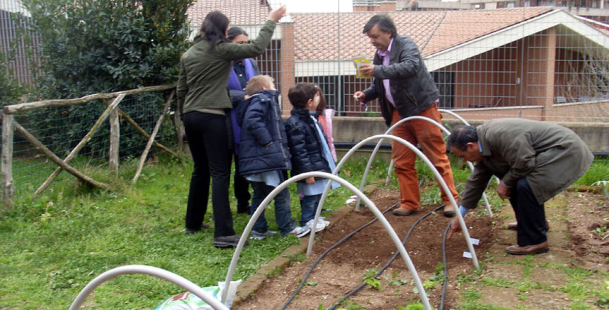 Trasformare in orti didattici le aree verdi delle scuole, parte la proposta - 