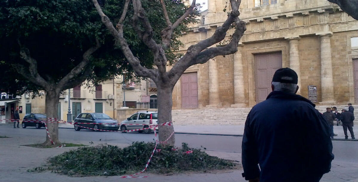 Piazza Umberto I ritorna senza alberi, via ai lavori di rimozione anche nelle ore serali - 