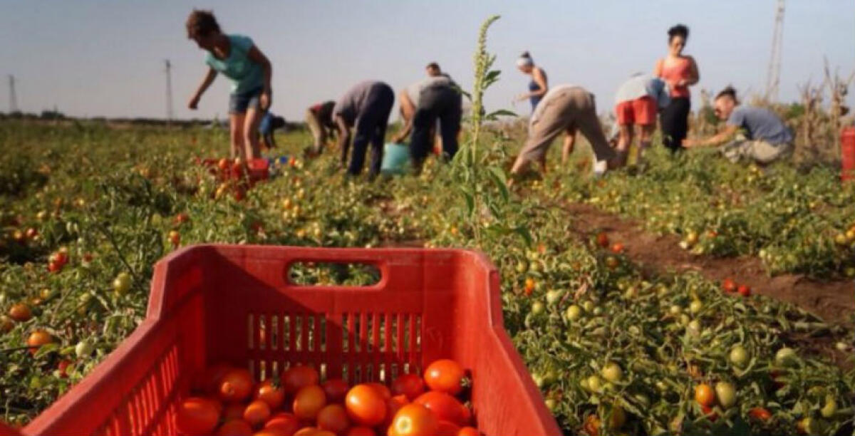 Un dito tranciato dalle cesoie, un'operaia ventunenne trasferita in un centro specializzato - 