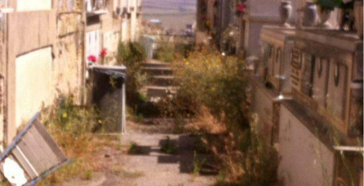 Erbacce, scarsa manutenzione e tanto degrado: quando si interverrà al cimitero Monumentale? - 