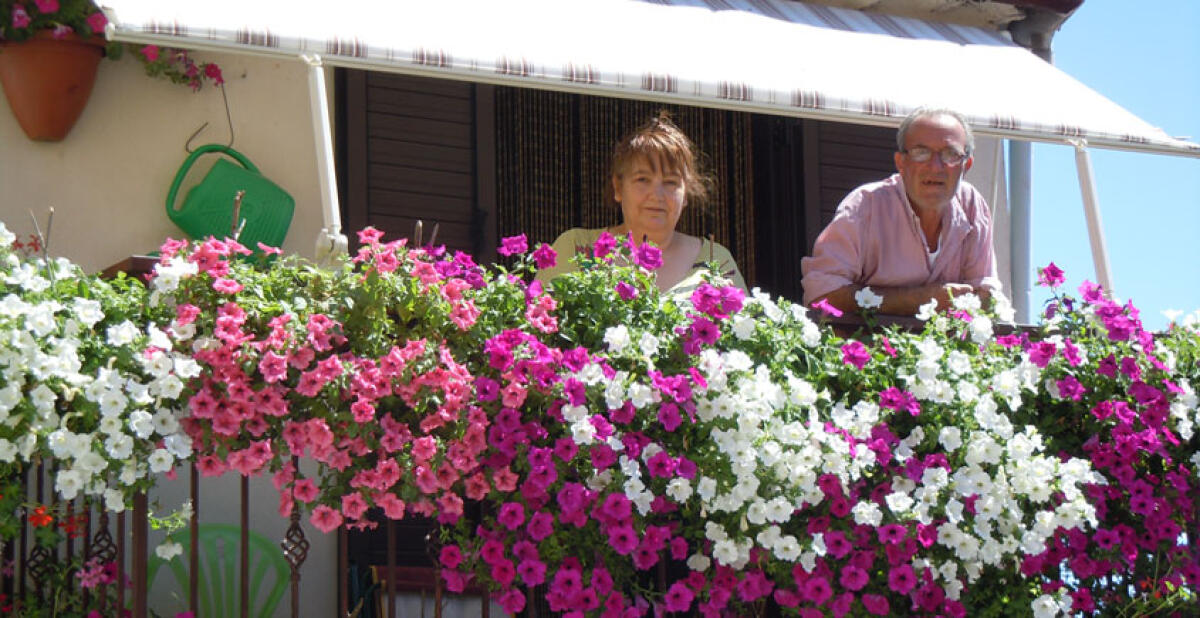 Finestre e balconi fioriti, pubblicato un bando per abbellire il centro e via Venezia - 