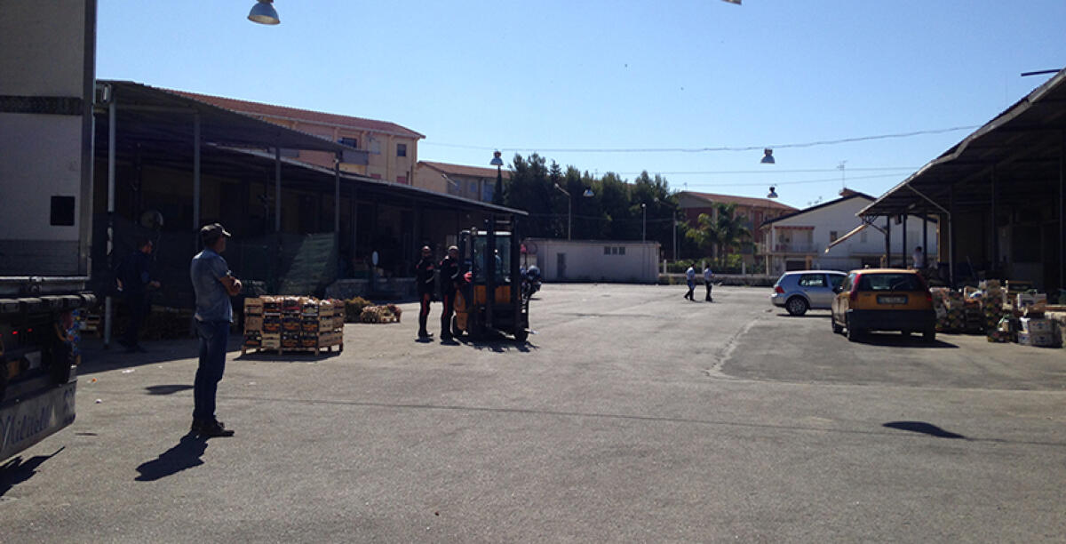 Blitz dei carabinieri del Nas e dei vigili urbani al mercato ortofrutticolo, anche prestanome per le licenze - 